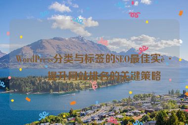 WordPress分類與標(biāo)簽的SEO最佳實踐，提升網(wǎng)站排名的關(guān)鍵策略