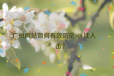 廣州網(wǎng)站如何有效防范SQL注入攻擊？