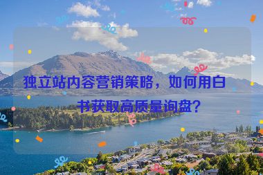 獨(dú)立站內(nèi)容營(yíng)銷(xiāo)策略，如何用白皮書(shū)獲取高質(zhì)量詢(xún)盤(pán)？