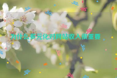 為什么多元化對網(wǎng)站收入很重要？
