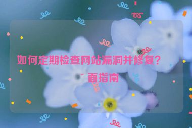 如何定期檢查網(wǎng)站漏洞并修復(fù)？全面指南