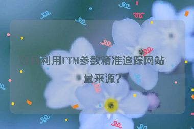 如何利用UTM參數(shù)精準(zhǔn)追蹤網(wǎng)站流量來源？