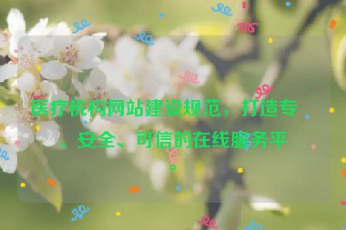 醫(yī)療機(jī)構(gòu)網(wǎng)站建設(shè)規(guī)范，打造專業(yè)、安全、可信的在線服務(wù)平臺(tái)