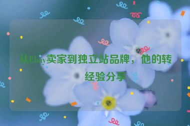 從Ebay賣家到獨(dú)立站品牌，他的轉(zhuǎn)型經(jīng)驗(yàn)分享