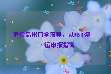 危險品出口全流程，從MSDS到海運申報指南