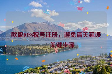 歐盟IOSS稅號注冊，避免清關(guān)延誤的關(guān)鍵步驟