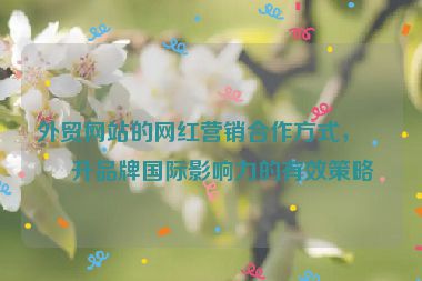 外貿(mào)網(wǎng)站的網(wǎng)紅營銷合作方式，提升品牌國際影響力的有效策略
