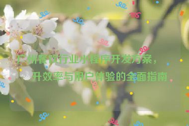 廣州餐飲行業(yè)小程序開發(fā)方案，提升效率與用戶體驗的全面指南