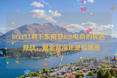 RCEP紅利下東南亞B2B電商的機(jī)遇與挑戰(zhàn)，掘金藍(lán)海還是暗礁密布？