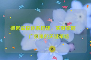 數(shù)據(jù)監(jiān)控體系搭建，實時掌握推廣效果的關(guān)鍵策略
