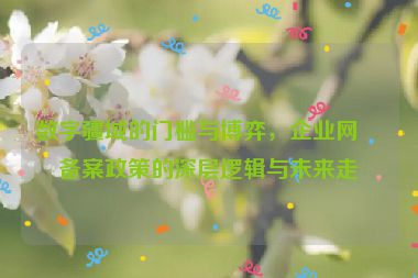 數(shù)字疆域的門檻與博弈，企業(yè)網(wǎng)站備案政策的深層邏輯與未來走向