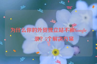 為什么你的外貿(mào)獨(dú)立站不被Google收錄？5個解決方案
