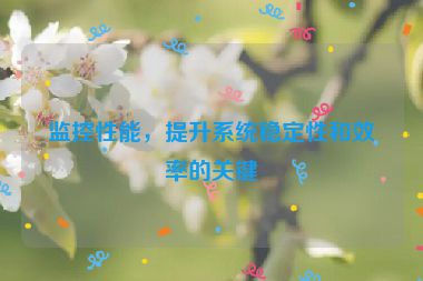 監(jiān)控性能，提升系統(tǒng)穩(wěn)定性和效率的關(guān)鍵