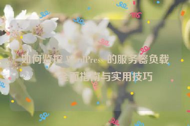 如何監(jiān)控 WordPress 的服務(wù)器負(fù)載，全面指南與實(shí)用技巧