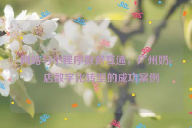 網(wǎng)站與小程序數(shù)據(jù)互通，廣州奶茶店數(shù)字化轉型的成功案例
