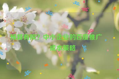 預算有限？中小企業(yè)的百度推廣低成本策略