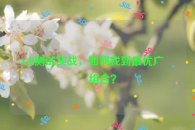 A/B測試實戰(zhàn)，如何找到最優(yōu)廣告組合？