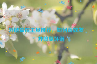 外鏈監(jiān)控工具推薦，如何高效發(fā)現(xiàn)并修復壞鏈