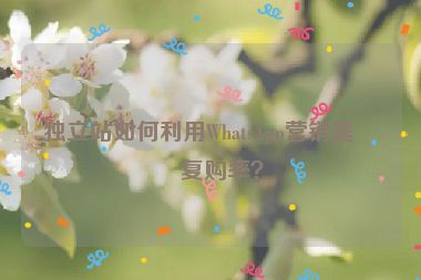 獨(dú)立站如何利用WhatsApp營銷提升復(fù)購率？