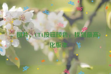 、圖片、CTA按鈕顏色，找到最高轉(zhuǎn)化版本