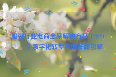 服裝行業(yè)電商全案解決方案（2024版）數(shù)字化轉型與增長新引擎