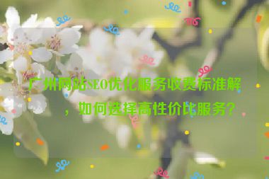 廣州網(wǎng)站SEO優(yōu)化服務收費標準解析，如何選擇高性價比服務？