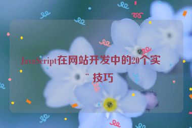JavaScript在網(wǎng)站開發(fā)中的20個(gè)實(shí)用技巧