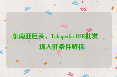 東南亞巨頭，Tokopedia B2B批發(fā)市場(chǎng)入駐條件解析
