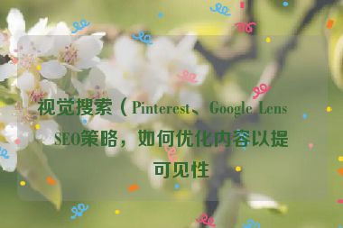 視覺(jué)搜索（Pinterest、Google Lens）SEO策略，如何優(yōu)化內(nèi)容以提升可見(jiàn)性