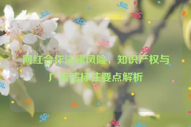 網(wǎng)紅合作法律風(fēng)險(xiǎn)，知識(shí)產(chǎn)權(quán)與廣告法標(biāo)注要點(diǎn)解析