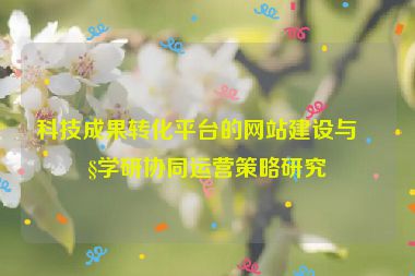 科技成果轉(zhuǎn)化平臺(tái)的網(wǎng)站建設(shè)與產(chǎn)學(xué)研協(xié)同運(yùn)營(yíng)策略研究