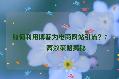 如何利用博客為電商網(wǎng)站引流？7個(gè)高效策略揭秘