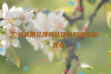 廣州高端品牌網(wǎng)站建設(shè)的視覺設(shè)計(jì)要點(diǎn)
