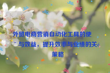 外貿(mào)電商營(yíng)銷自動(dòng)化工具的使用與效益，提升效率與業(yè)績(jī)的關(guān)鍵策略