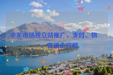 中東市場獨立站推廣，支付、物流、營銷全攻略