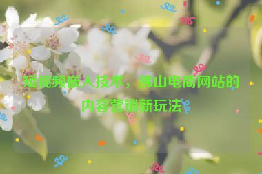 短視頻嵌入技術(shù)，佛山電商網(wǎng)站的內(nèi)容營(yíng)銷(xiāo)新玩法