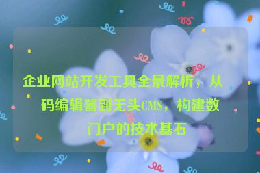 企業(yè)網(wǎng)站開發(fā)工具全景解析，從代碼編輯器到無頭CMS，構(gòu)建數(shù)字門戶的技術(shù)基石