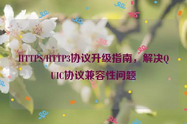 HTTPS/HTTP3協(xié)議升級指南，解決QUIC協(xié)議兼容性問題