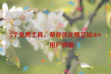 5個免費(fèi)工具，幫你優(yōu)化獨(dú)立站SEO和用戶體驗(yàn)