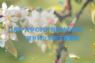 以用戶為中心的外貿(mào)網(wǎng)站內(nèi)容規(guī)劃，提升轉(zhuǎn)化率的關(guān)鍵策略