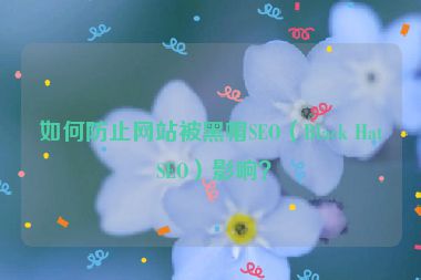 如何防止網(wǎng)站被黑帽SEO（Black Hat SEO）影響？