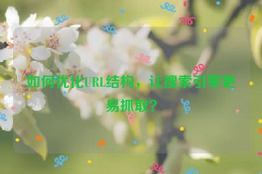 如何優(yōu)化URL結(jié)構(gòu)，讓搜索引擎更易抓?。?></a></div>    <div   id=