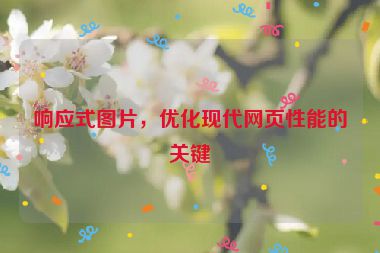 響應(yīng)式圖片，優(yōu)化現(xiàn)代網(wǎng)頁(yè)性能的關(guān)鍵
