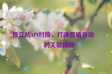 獨(dú)立站API對(duì)接，打通營銷自動(dòng)化的關(guān)鍵路徑