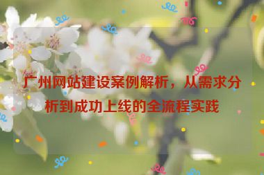 廣州網(wǎng)站建設(shè)案例解析，從需求分析到成功上線的全流程實(shí)踐