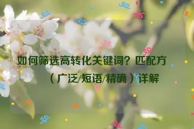 如何篩選高轉(zhuǎn)化關(guān)鍵詞？匹配方式（廣泛/短語/精確）詳解