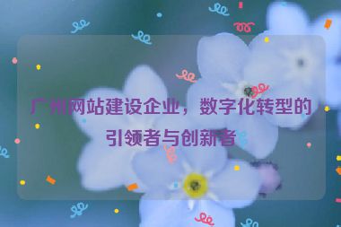 廣州網(wǎng)站建設(shè)企業(yè)，數(shù)字化轉(zhuǎn)型的引領(lǐng)者與創(chuàng)新者