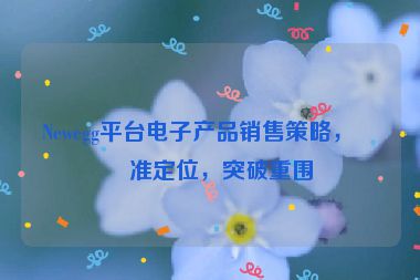 Newegg平臺(tái)電子產(chǎn)品銷售策略，精準(zhǔn)定位，突破重圍