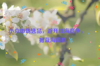 小眾市場(chǎng)選品，避開(kāi)紅海競(jìng)爭(zhēng)，挖掘藍(lán)海商機(jī)