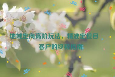 地域定向高階玩法，精準(zhǔn)定位目標(biāo)客戶的終極指南